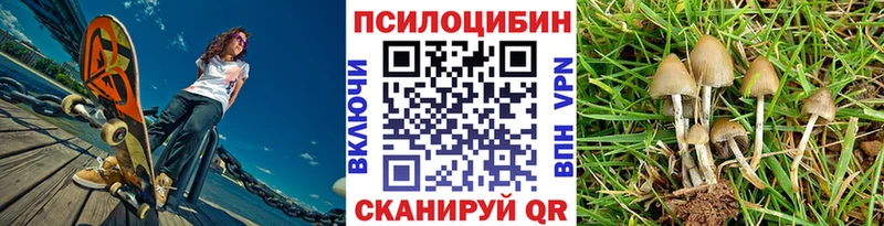 Галлюциногенные грибы Psilocybe  Купить  Бузулук 